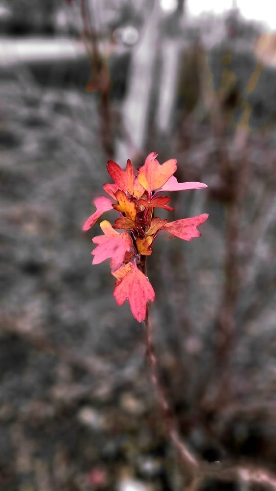 Photograph by Метушова Анна