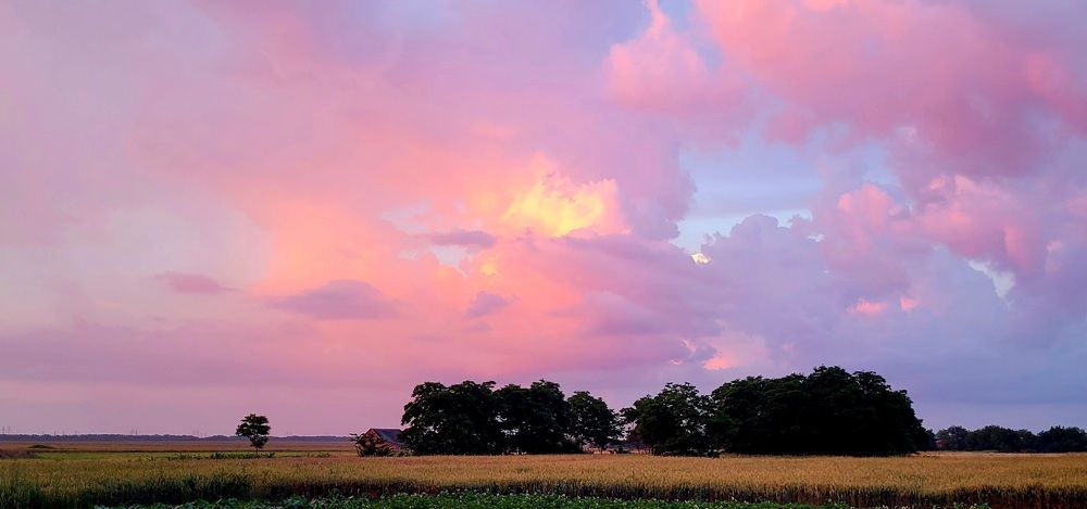 Photograph by Метушова Анна