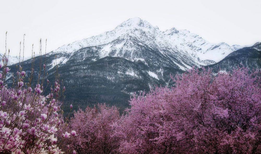 Photograph by Svetlana Rizzo