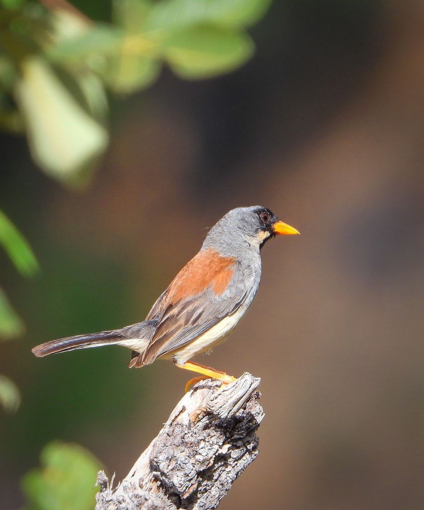 Photograph by jhefer