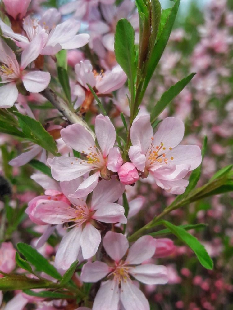 Photograph by Марина Мальцева