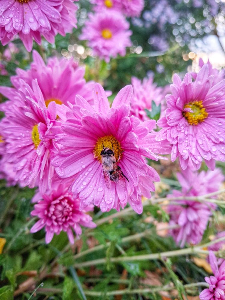 Photograph by Марина Мальцева