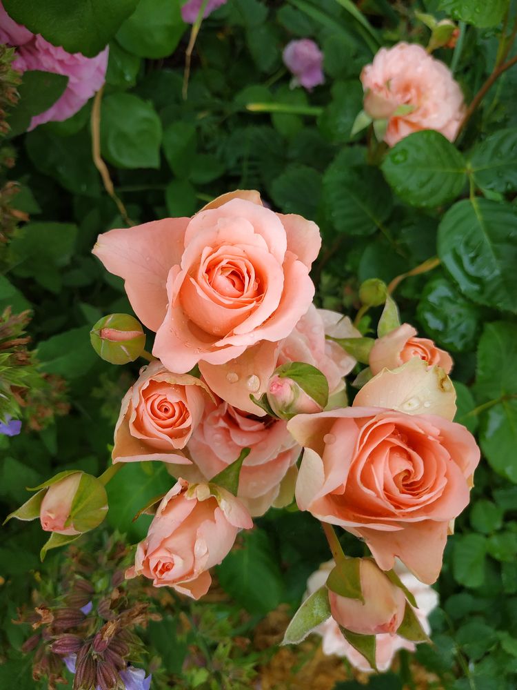 Photograph by Tatiana