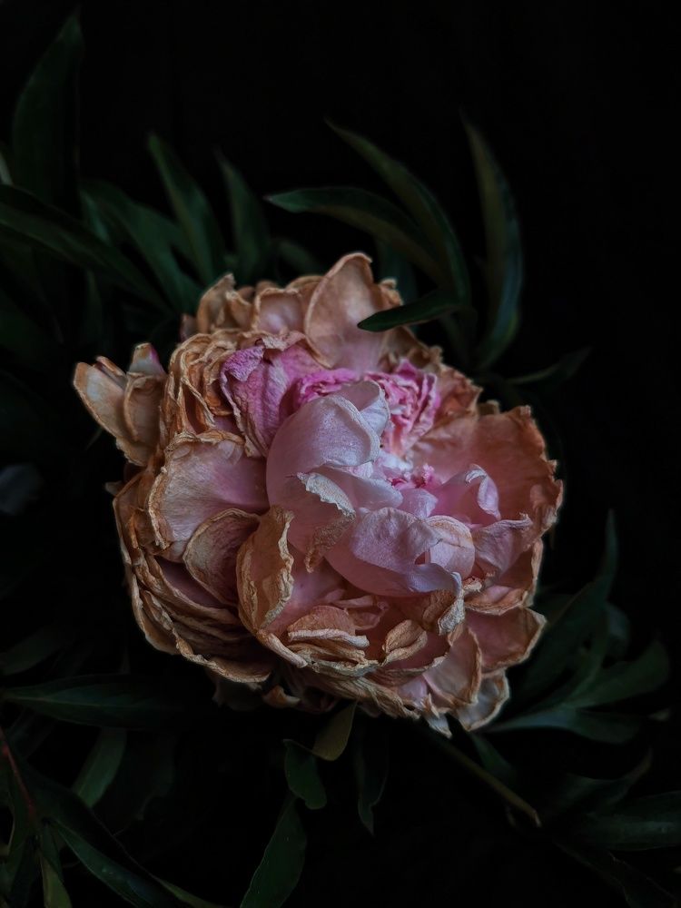 Photograph by Анна Кош
