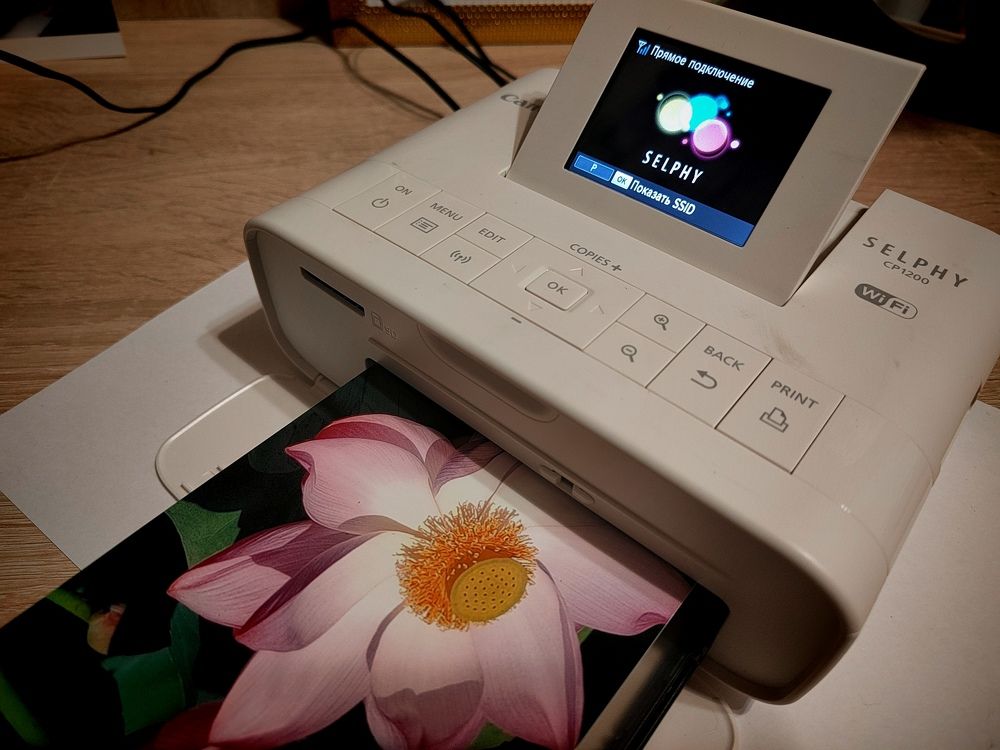 Photograph by Куделенко Оксана