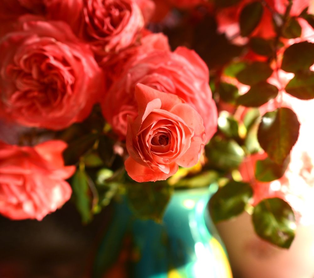 Photograph by Муза Латинская