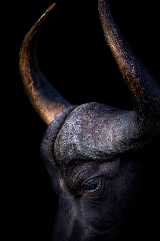 Фотография автора Aubry Schaefer