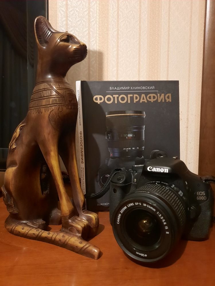 Страж фотографии