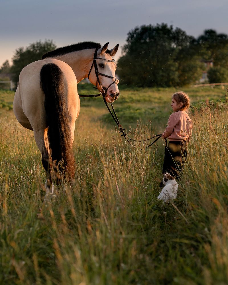 Photograph by Юлия Петухова