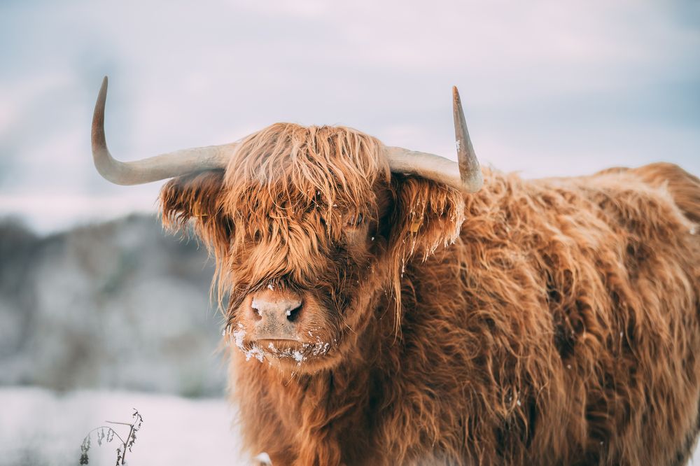 Фотография автора Jonathan Douglas