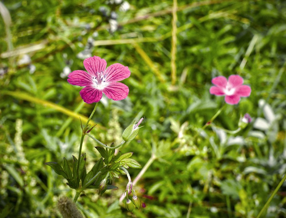 Photograph by Анатолий Максимов