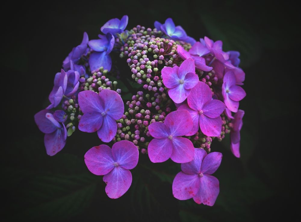 Photograph by Татьяна Сычёва