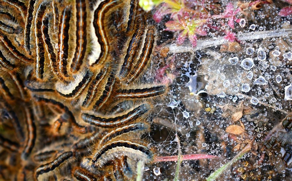 Photograph by Екатерина Гордеева