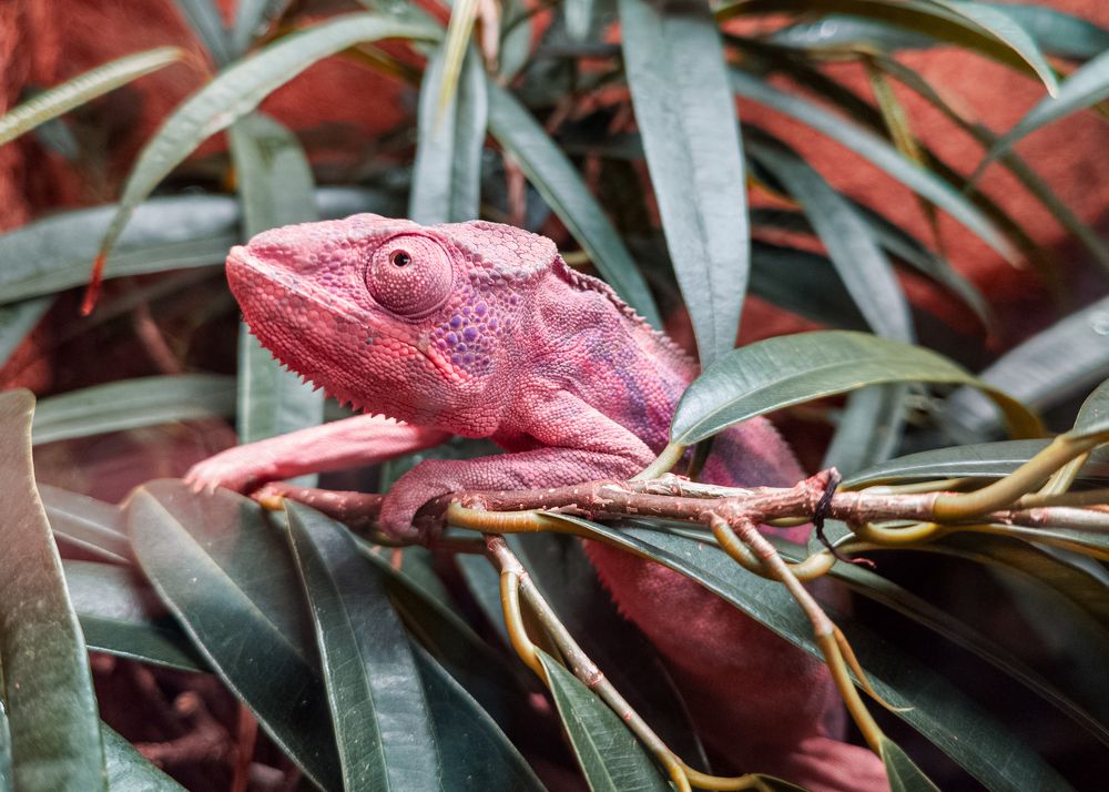 Photograph by Алексей Крукович