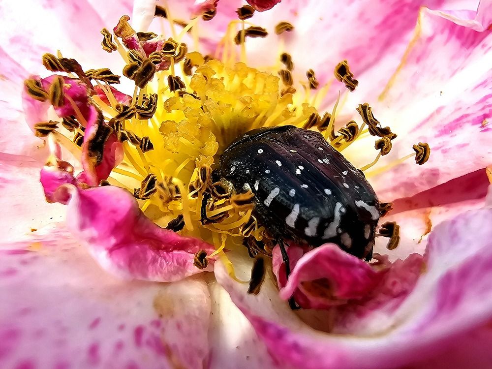 Photograph by Анна Семенова