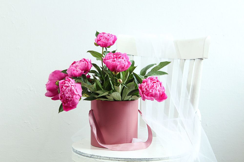 Photograph by Мария Самолевич