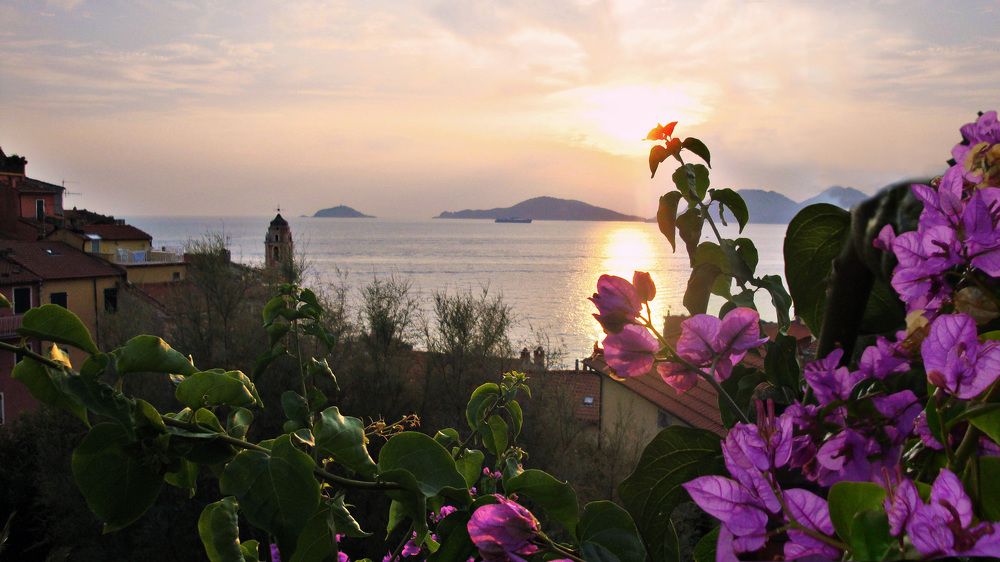 Фотография автора Liliana C.