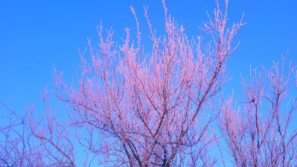 Photograph by Метушова Анна