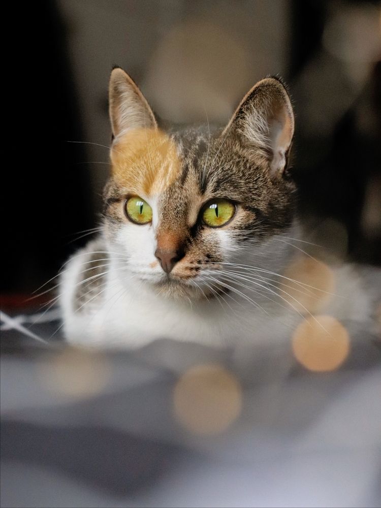 Photograph by Анна Любимова