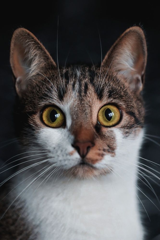 Photograph by Анна Любимова