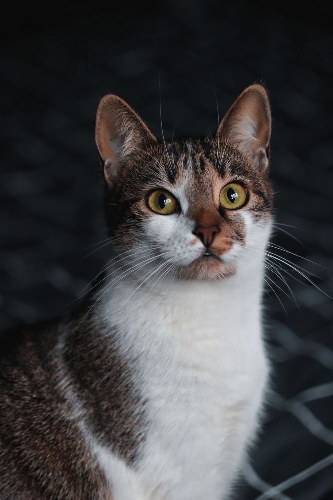 Photograph by Анна Любимова