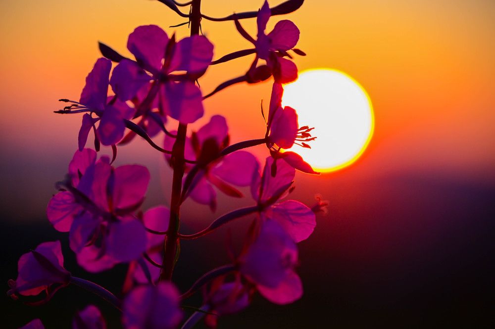 Photograph by Tanzilya Gabidullina