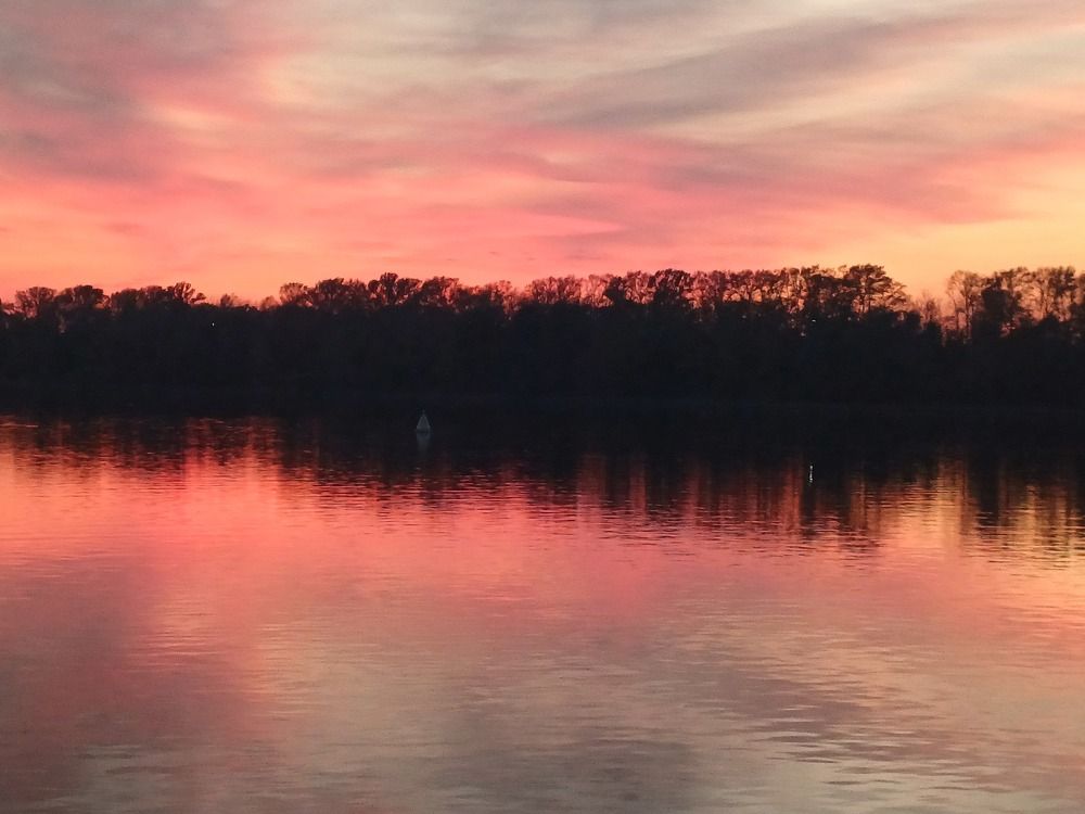 Photograph by Валентина