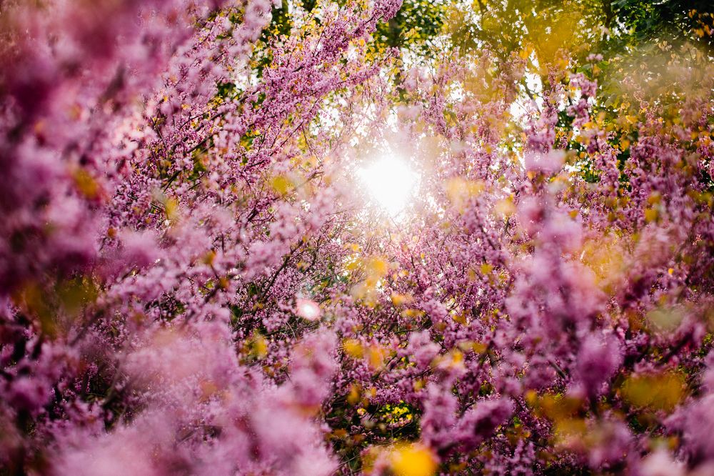 Photograph by Мария Раздорова