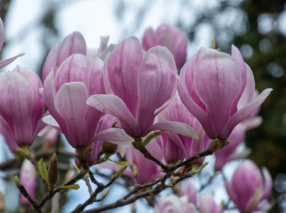 Photograph by Екатерина Крючкова