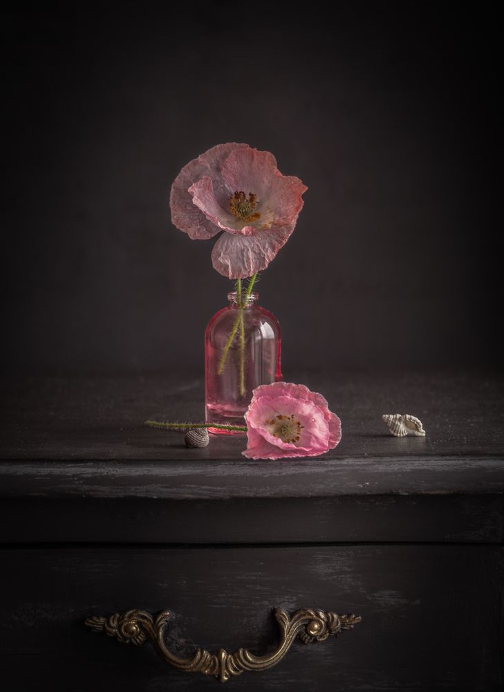 Photograph by Milla Walmus