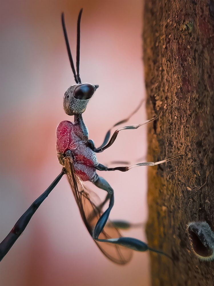 Photograph by A .Thimira dinisuru