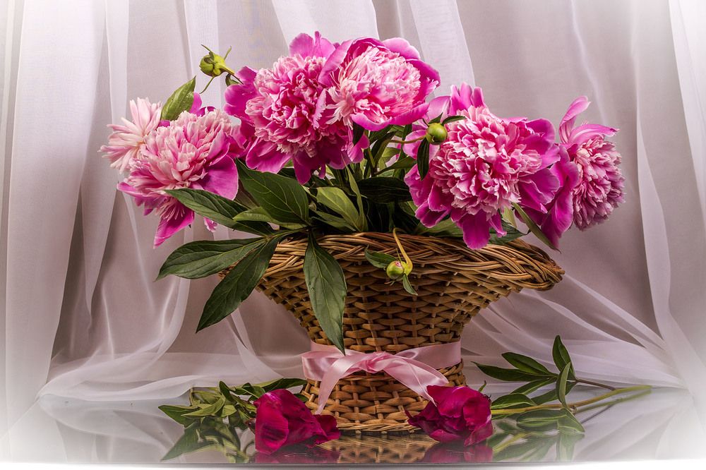 Photograph by Людмила Павловна