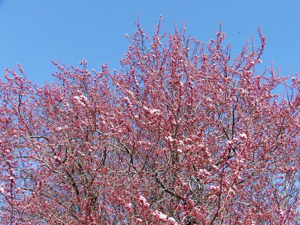 Photograph by Cengiz Yalcin