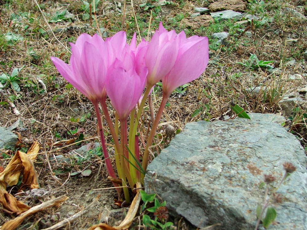 Photograph by Cengiz Yalcin