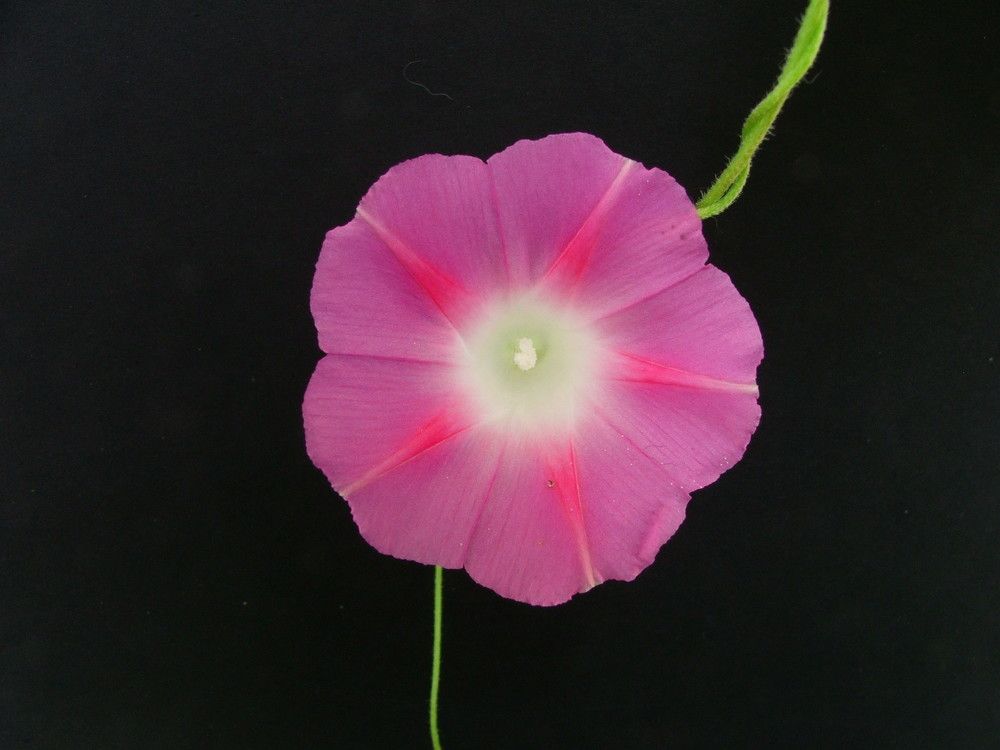 Photograph by Cengiz Yalcin