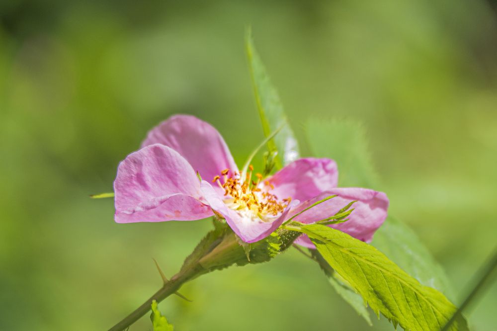 Photograph by Надежда Михайлина