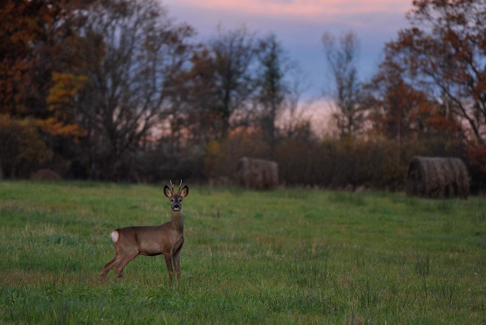 Photograph by Юрий Яковлев