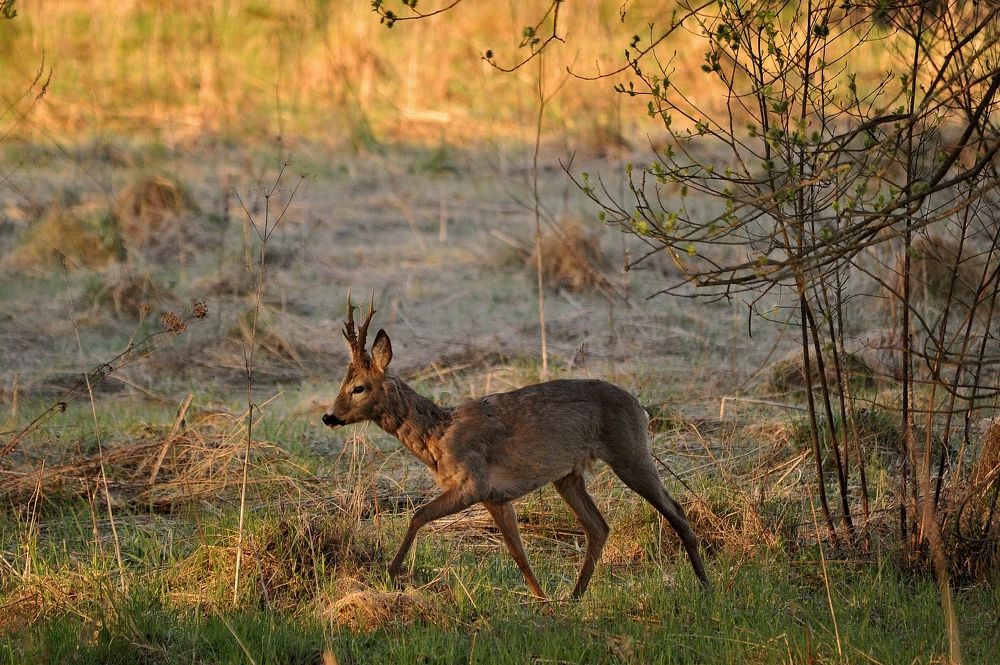 Photograph by Юрий Яковлев