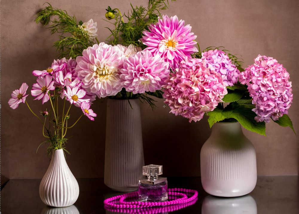 Photograph by Людмила Павловна