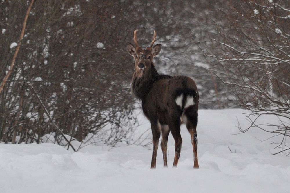 Photograph by Юрий Яковлев