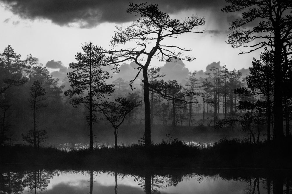 Фотография автора Юрий Макаров