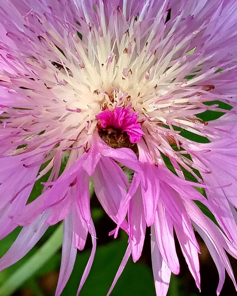 Photograph by Ольга Салтыкова