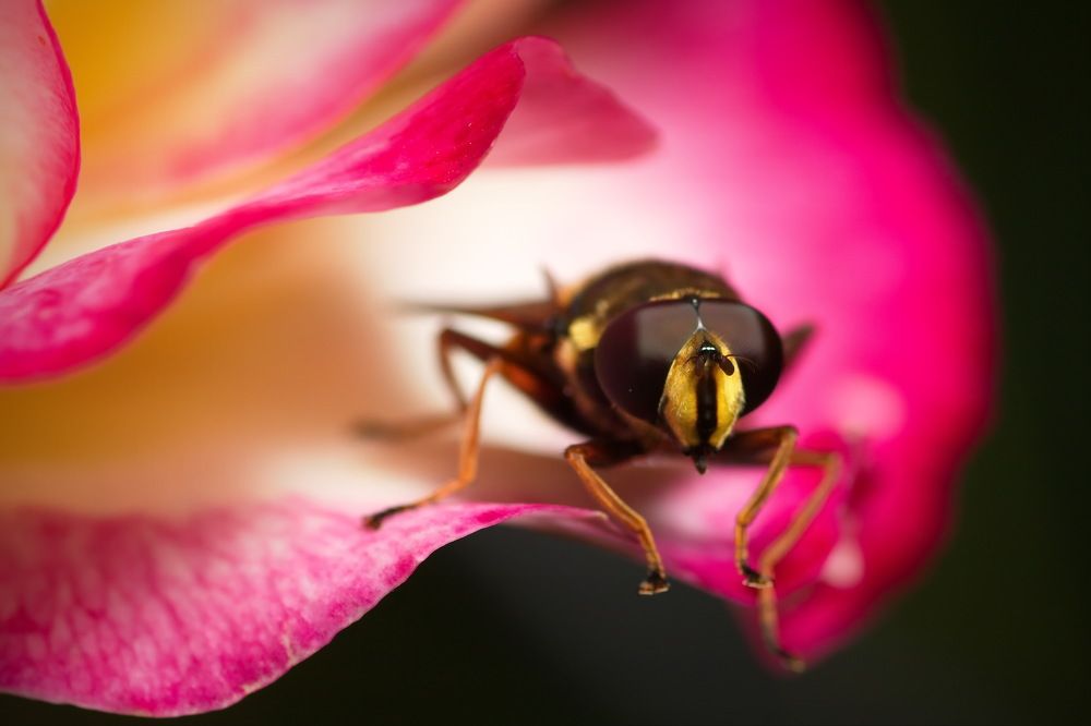 Фотография автора Юрий Кольцов
