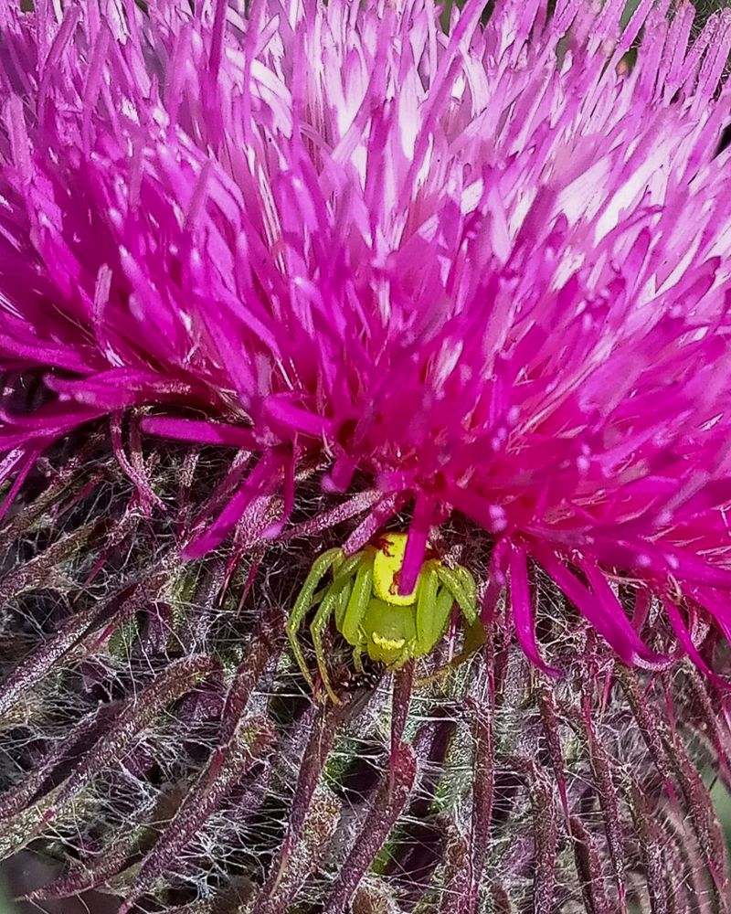 Photograph by Ольга Салтыкова