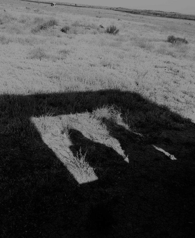 Фотография автора Максим Беднев