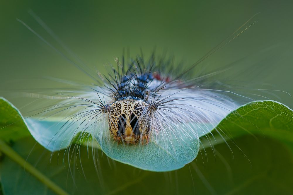 Photograph by Кузнецов Дмитрий
