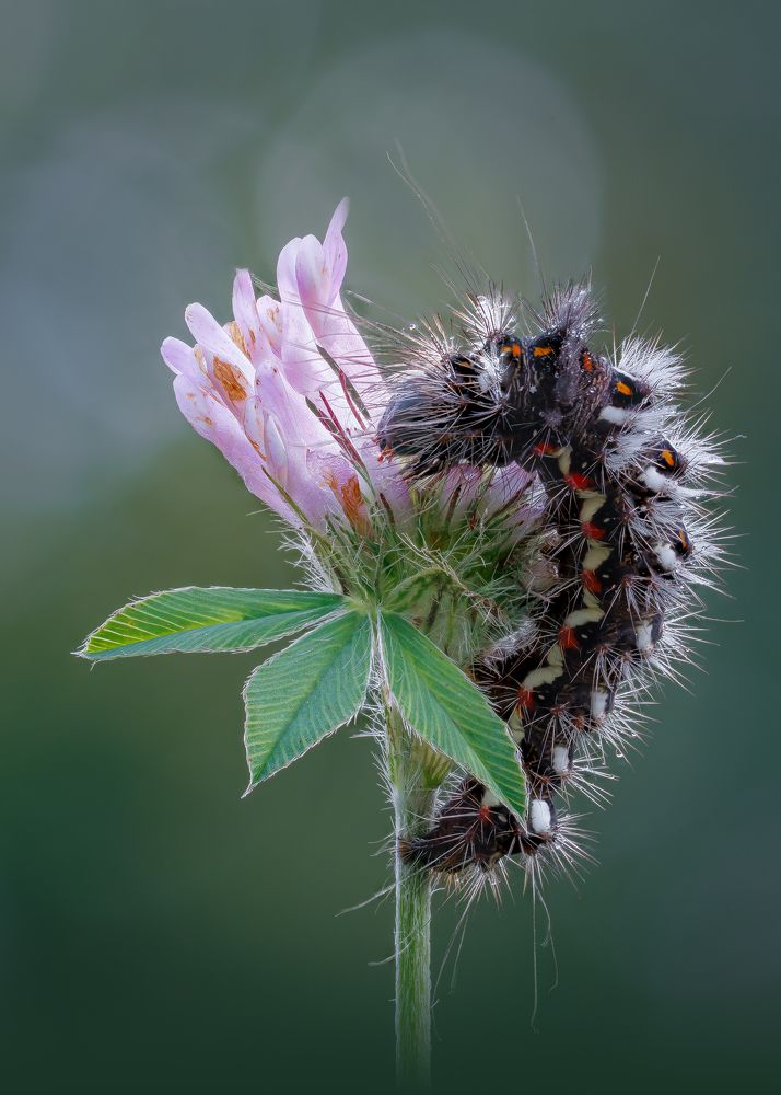 Photograph by Кузнецов Дмитрий