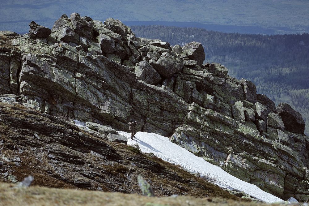 Photograph by Александр Шалагин