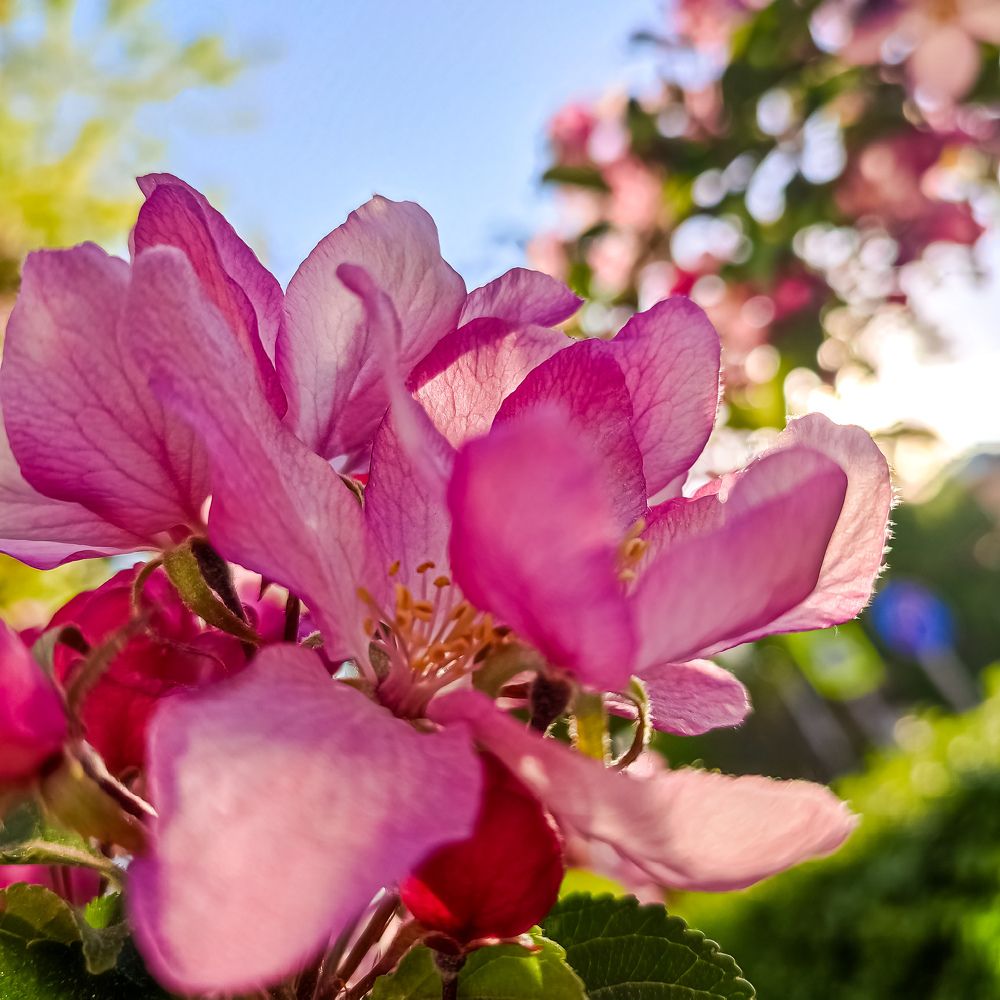 Фотография автора Нина Зинченко