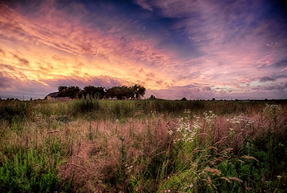 Фотография автора Юлия Кранина